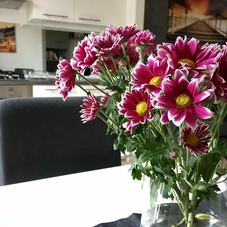 Casa Matteo 公寓